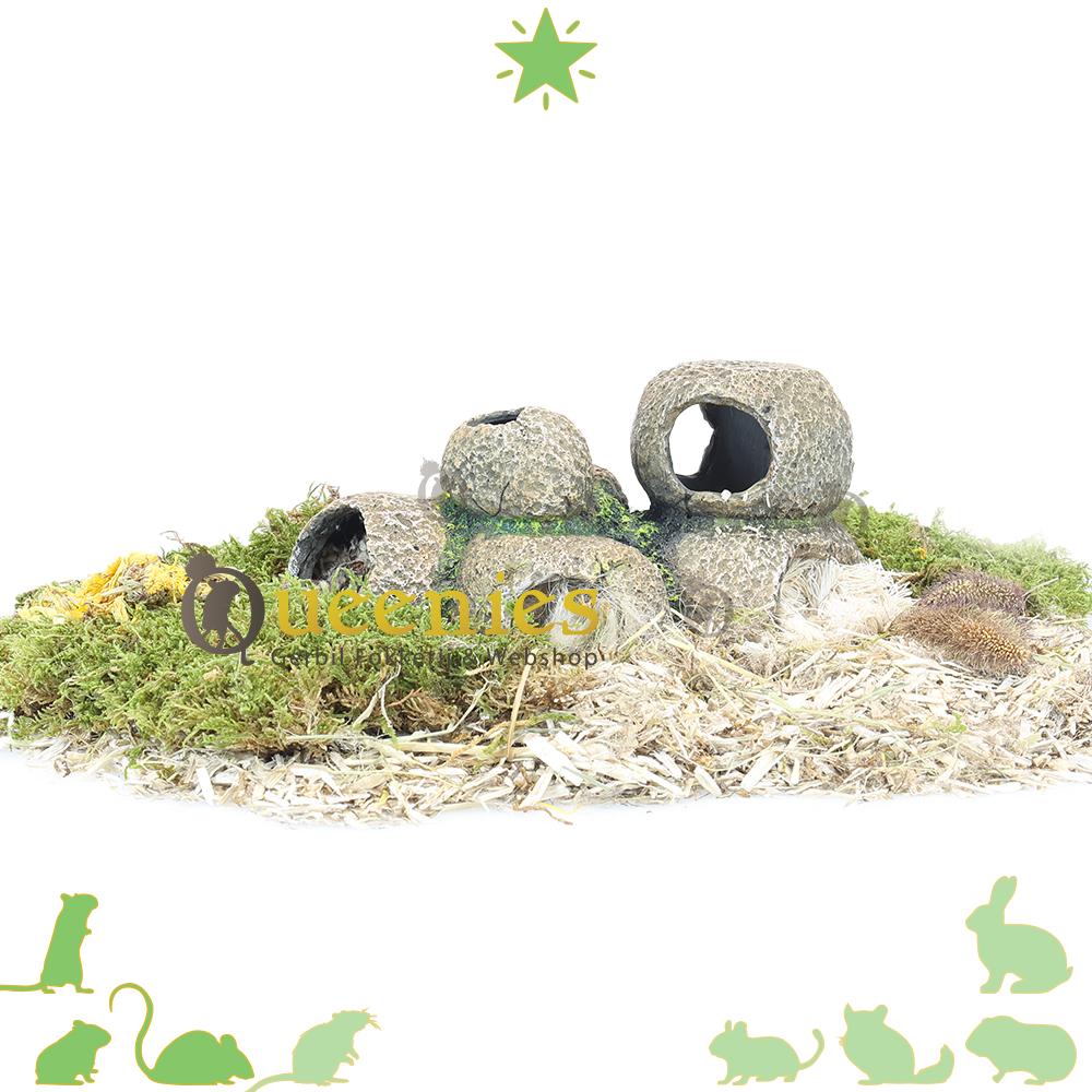Grotten systeem voor Hamsters in Hamsterscaping