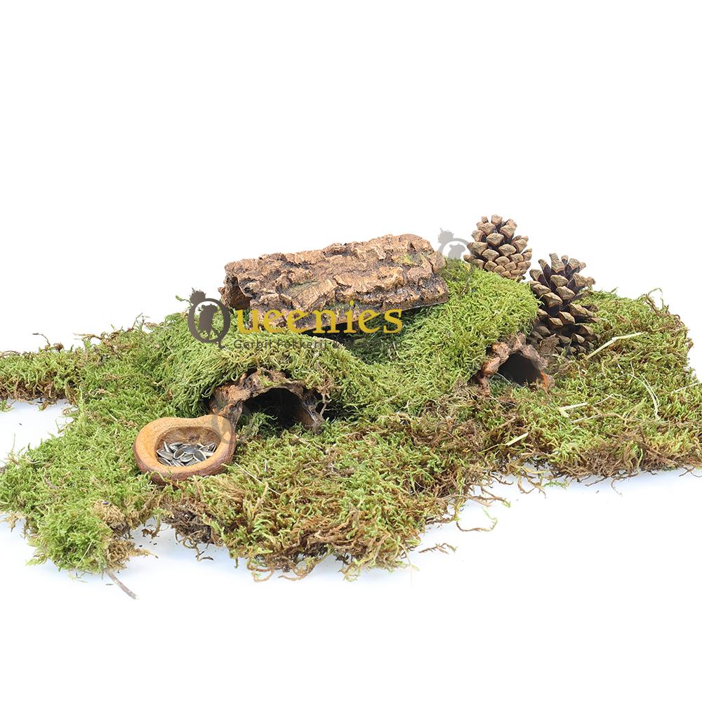 Grotten en tunnels voor Gerbils en degoes