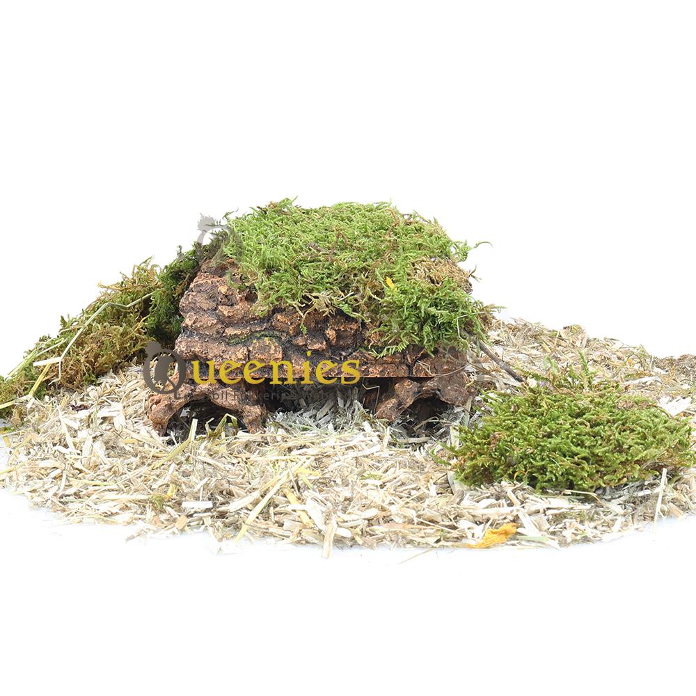 Kurken boomstam grot met mos bedekking