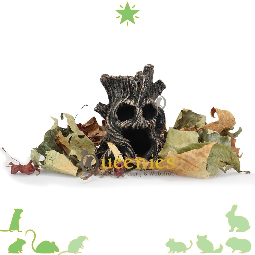 Aquaornamenten “ENGE BOOM