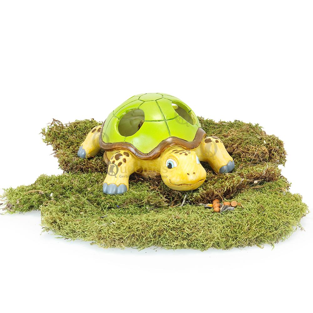 Gerbil huisjes kopen met schuil mogelijkheden