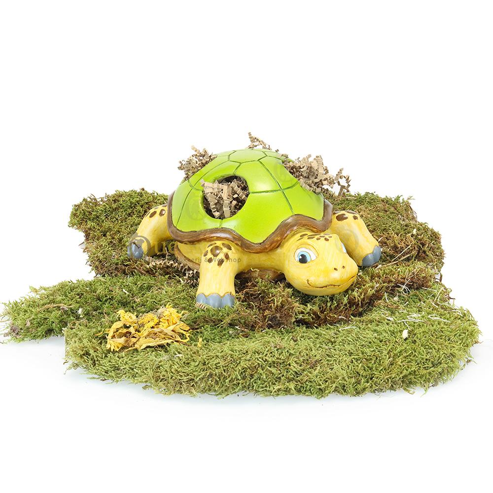 stereotype gedrag voorkomen bij gerbils