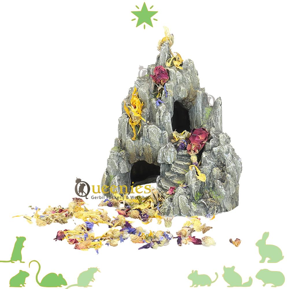 Hamsterscape rots met gedroogde bloemen en mos