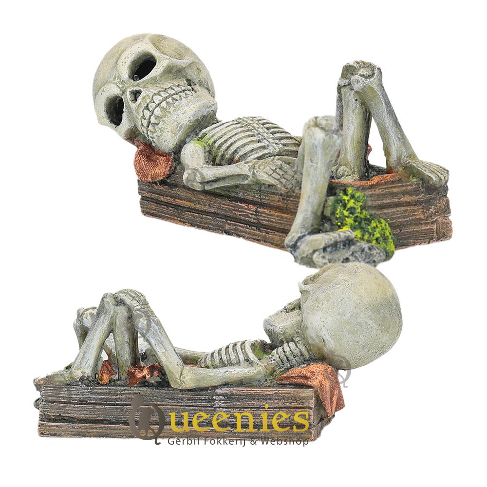 Skelet voor decoratie in huis en tuin