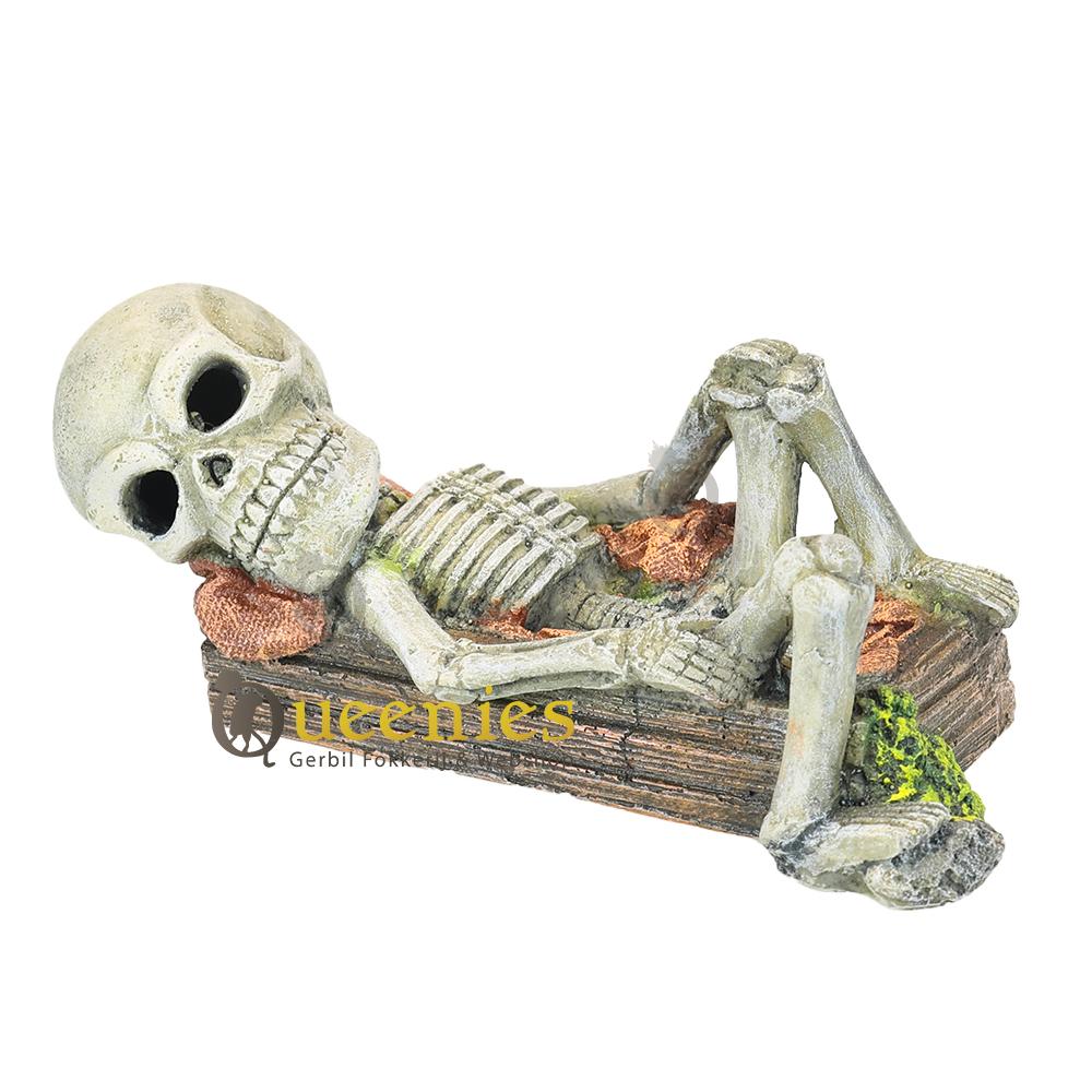 Skelet voor decoratieve doeleinden hamsters