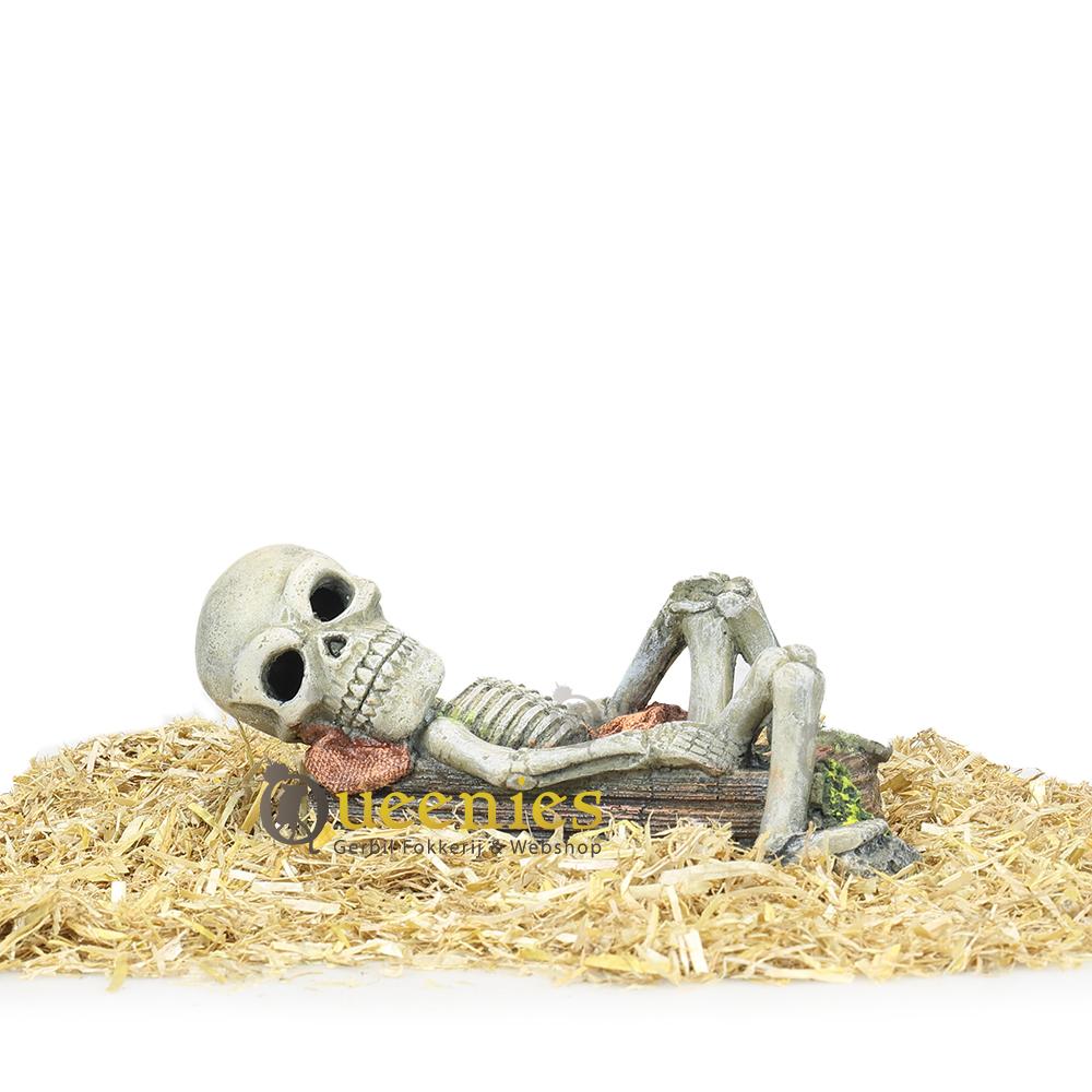 Skelet voor hamster speelgoed in softbedding