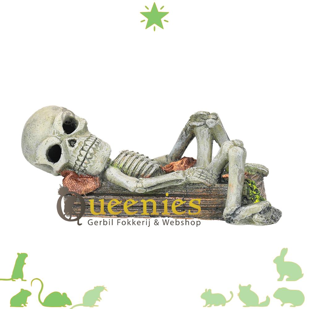 Skelet voor aquarium decoratie