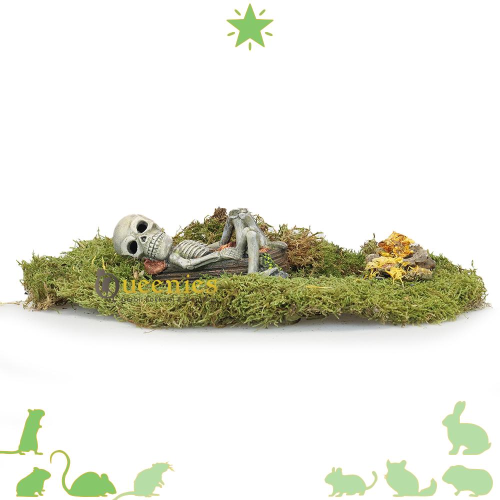 Skelet voor Hamsterscaping in hamster terrarium