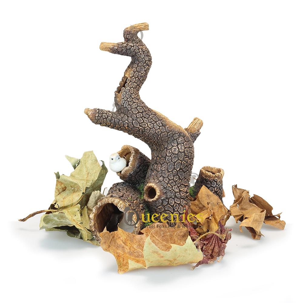 Herfstscape met gedroogde bladeren