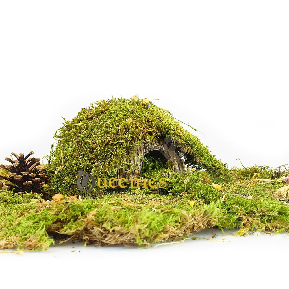 Mos, dennenappels en kokosnoten voor gerbils en dwerghamsters