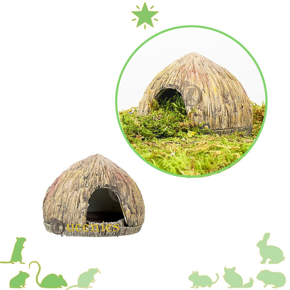 Kokosnoot Cave 12 cm