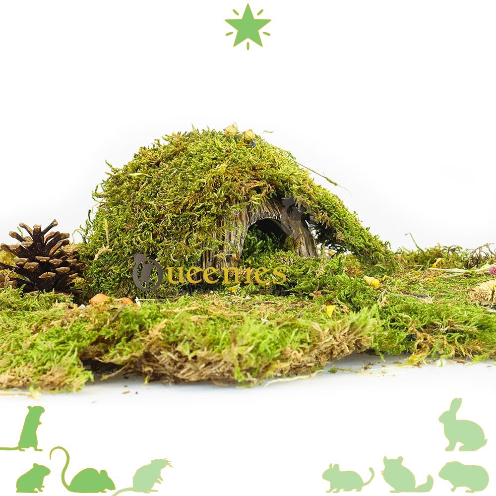 Kokosnoot Cave in hamsterscape