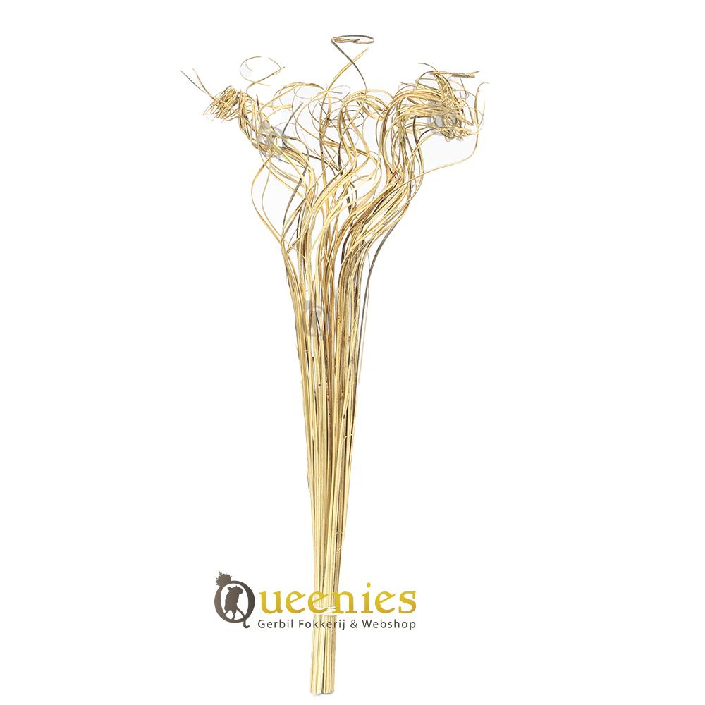 Krul Stengels 50 stuks