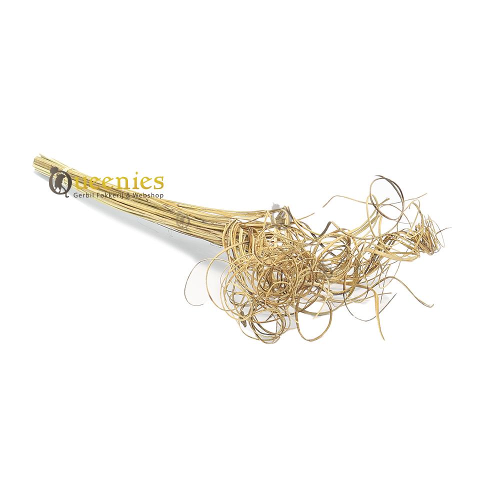 Krul Stengels 50 stuks