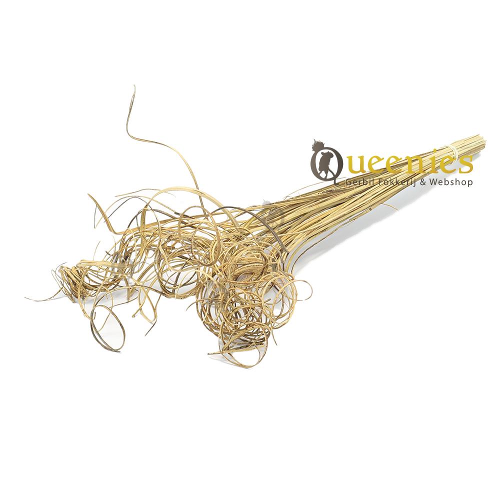 Krul Stengels 50 stuks