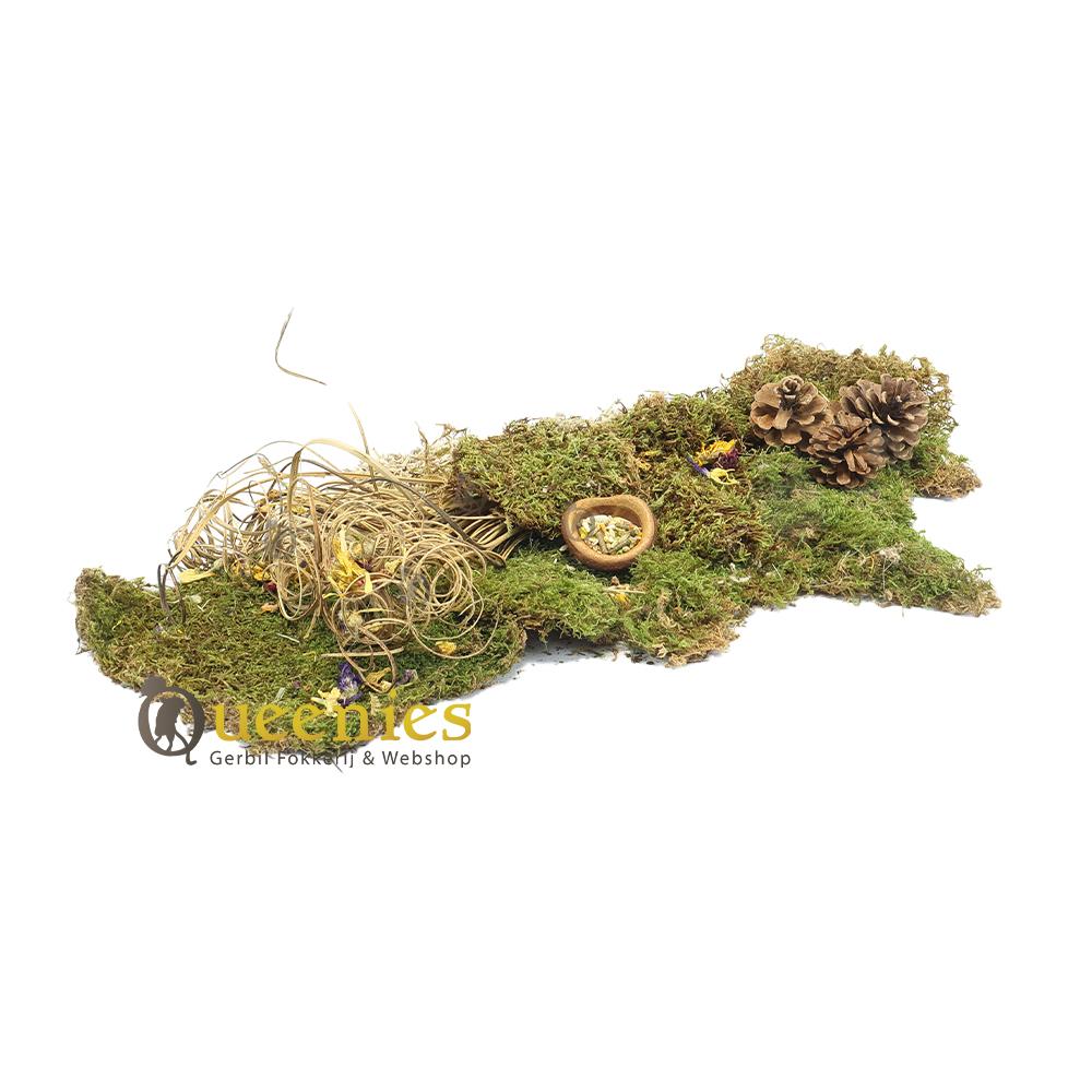 Krul Stengels 50 stuks