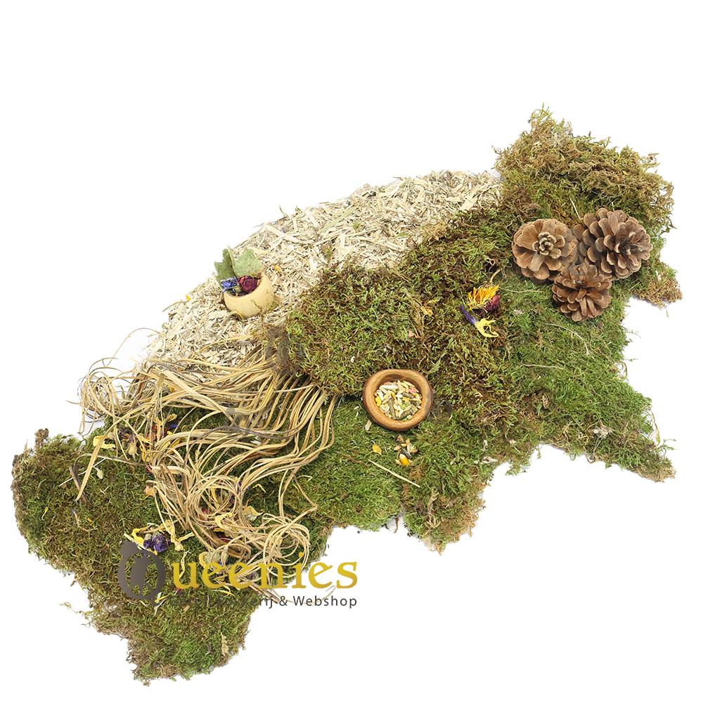 Krul stelen mooi in een hamsterscape