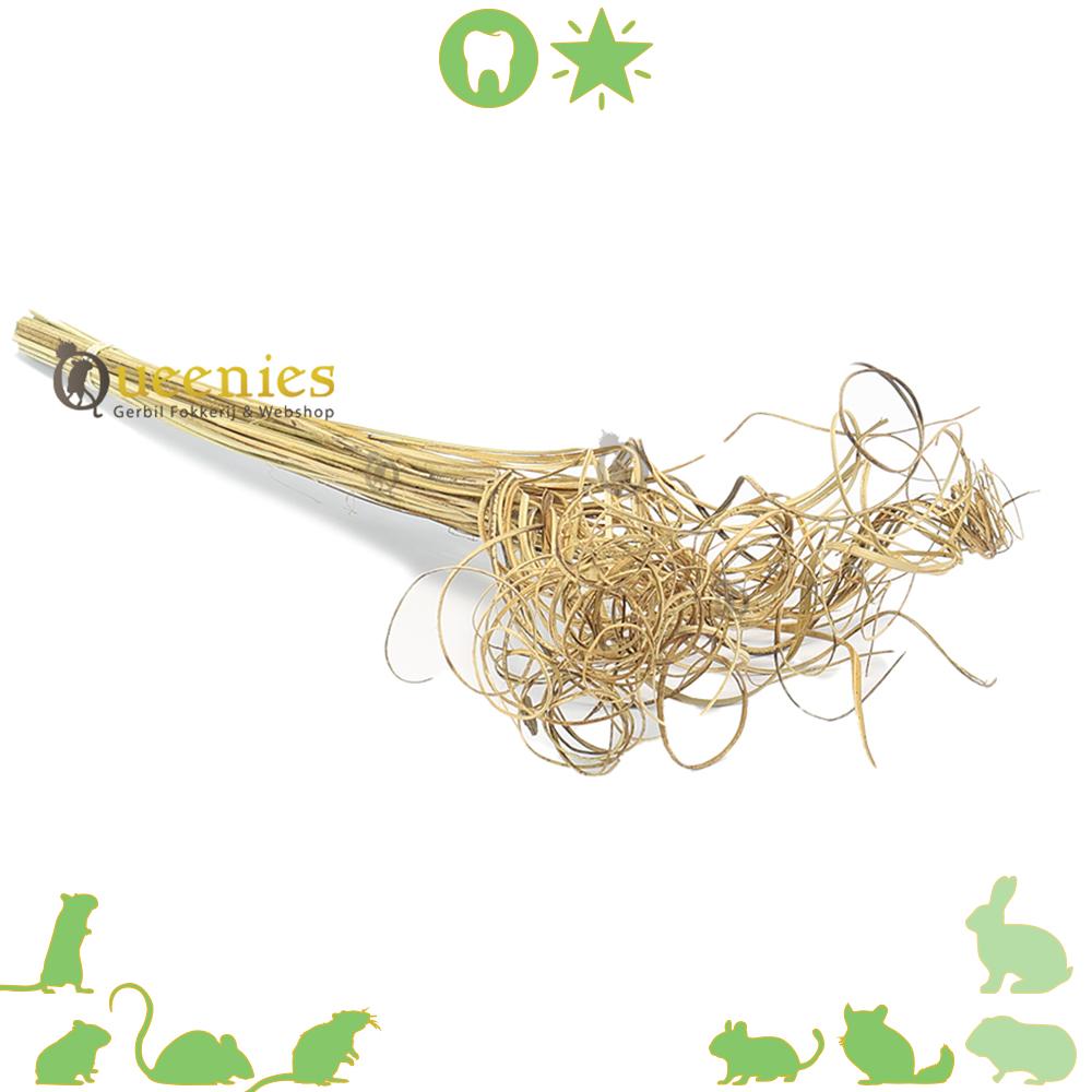 Krul Stengels knabbelgoed voor knaagdieren