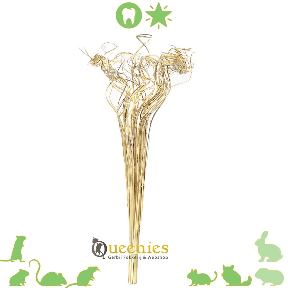 Krul stelen knaaghout voor hamster en Degoe