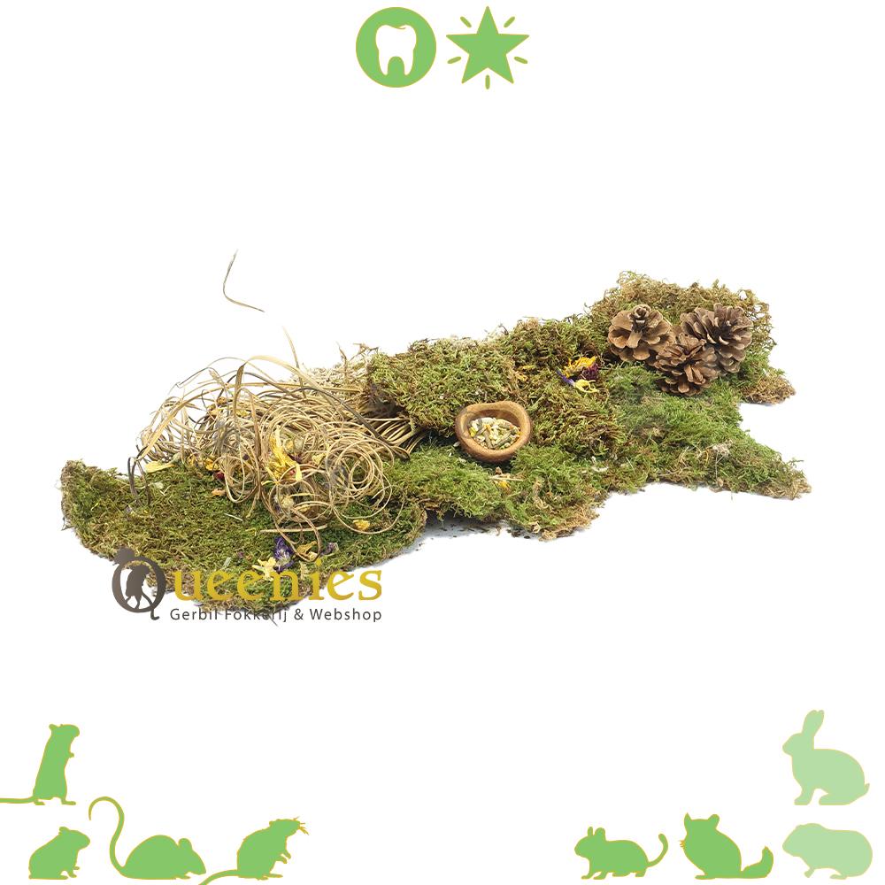 Krul stelen knabbelhout voor knaagdier