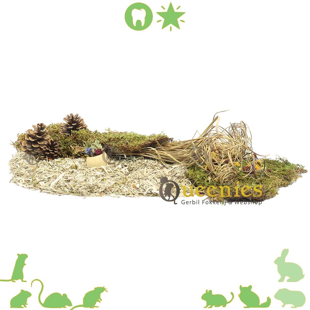 Krul stelen knaaghout voor Gerbils