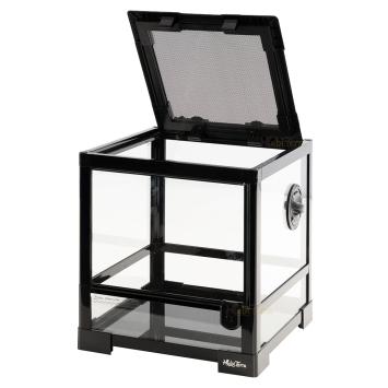 Compact glazen terrarium van 30 x 30 x 32 cm