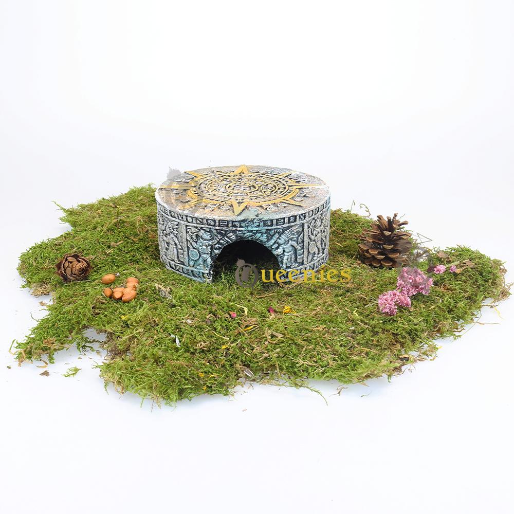 Hamsterscaping grot voor Goudhamsters