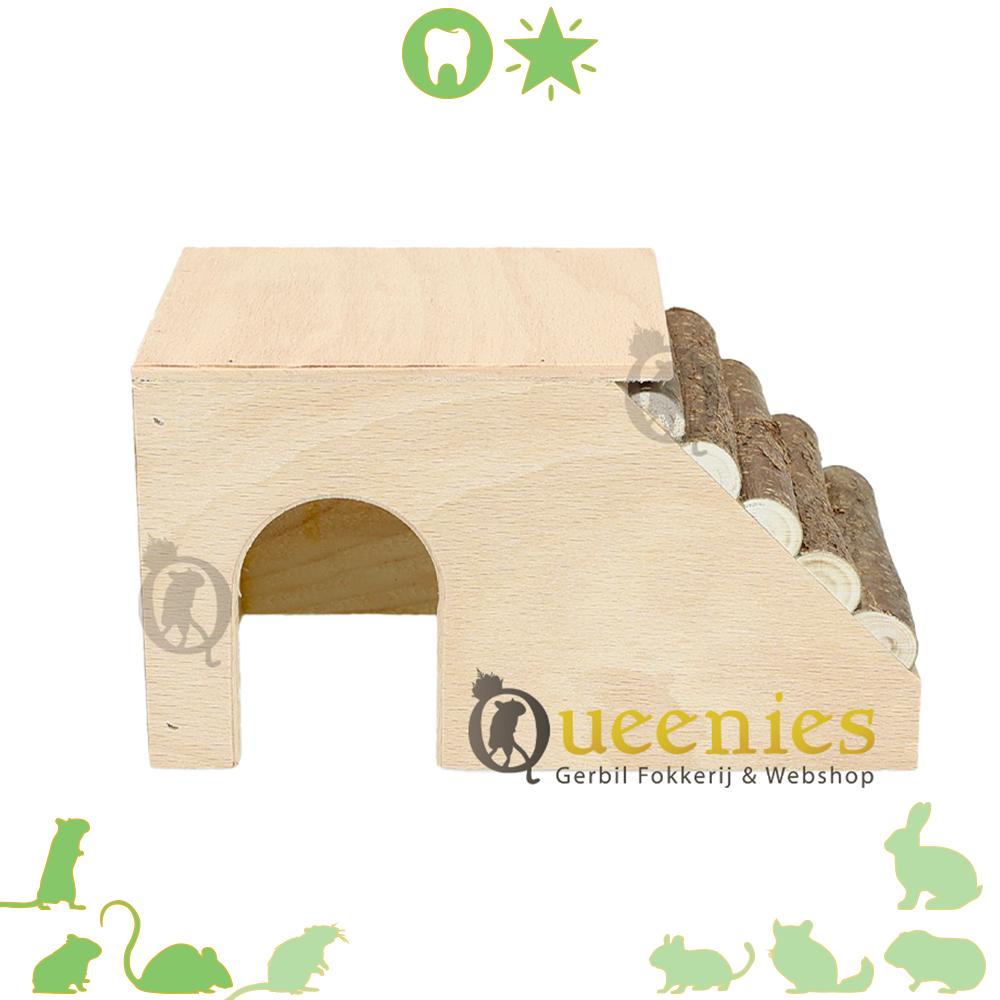 Actieve verrijking met de Stormbaan voor Muizen