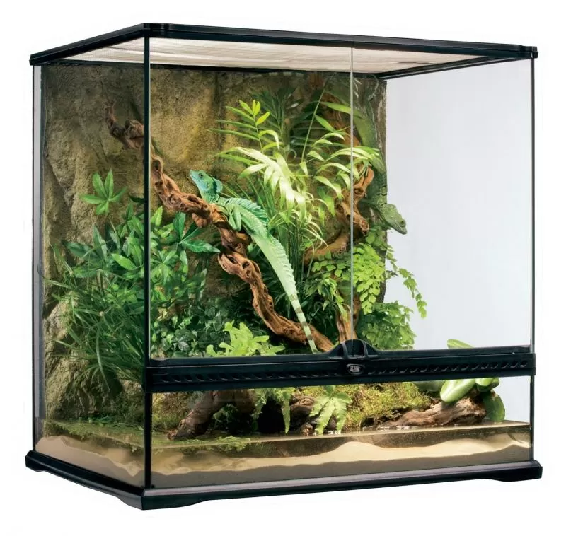 Natural Glass Terrarium - 60 X 45 X 60 Cm knaagdieren terrarium