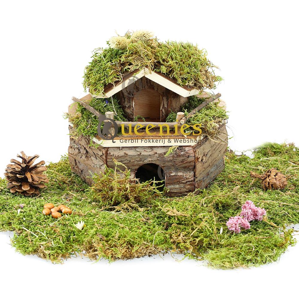 Unieke hamsterscaping maken met huisje met etages