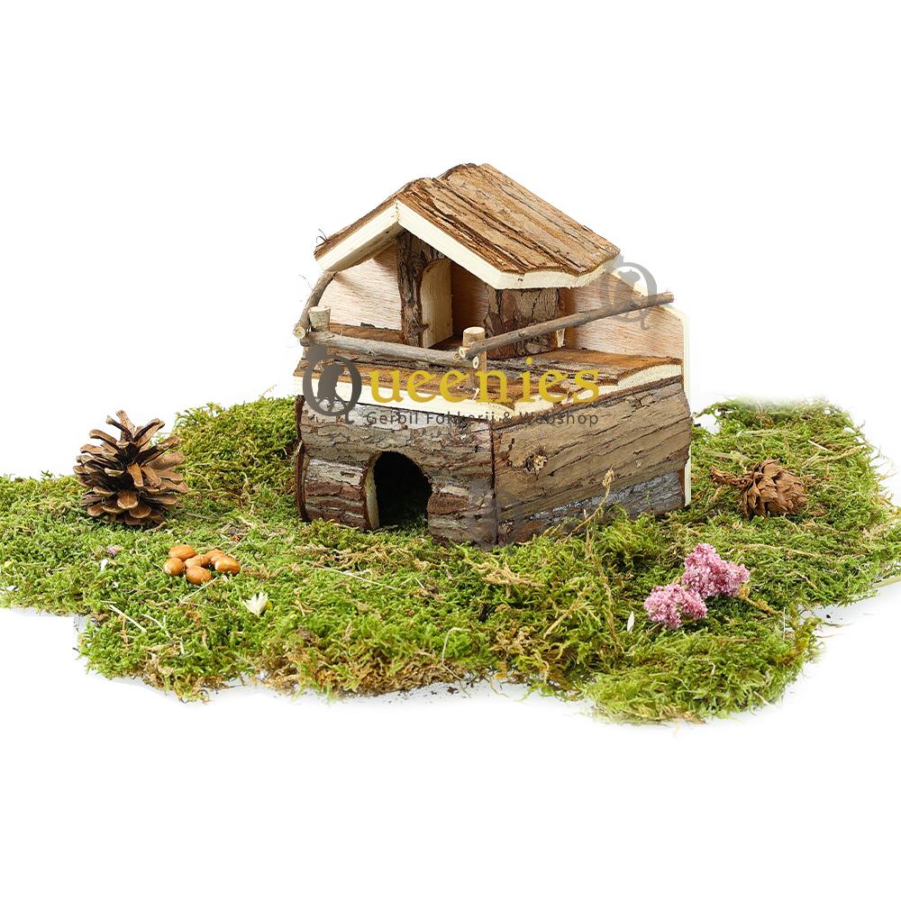 Hamster slaaphuisje met dennenappels en gedroogd mos