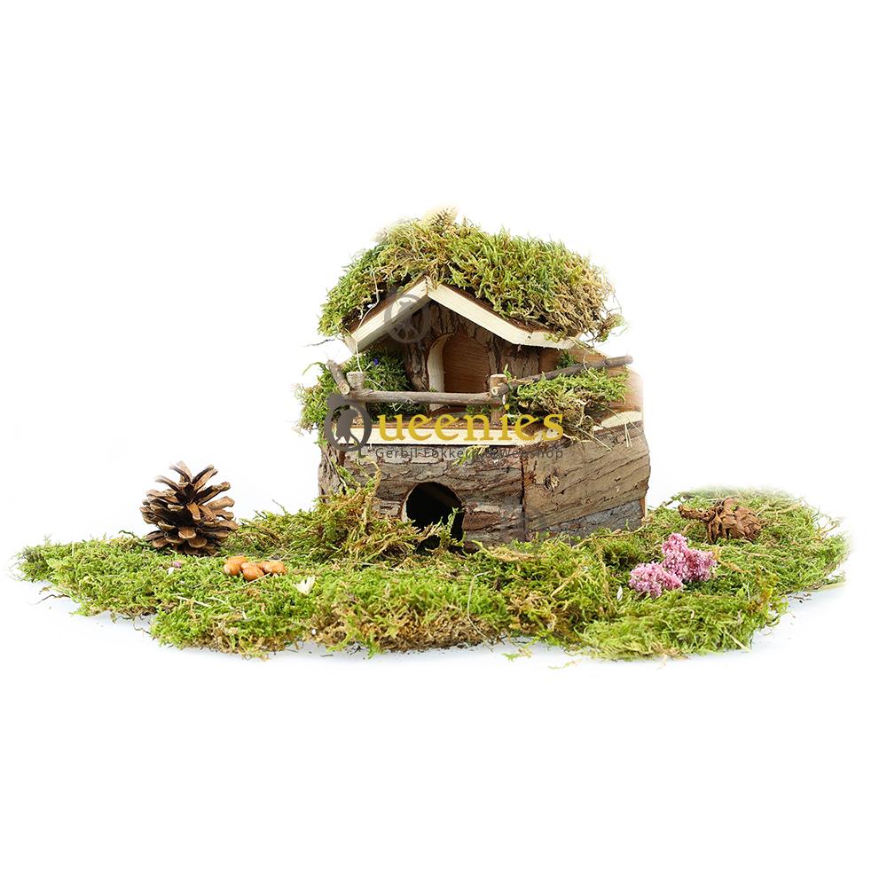 Hamsterscape muizen huis voor Knaagdieren