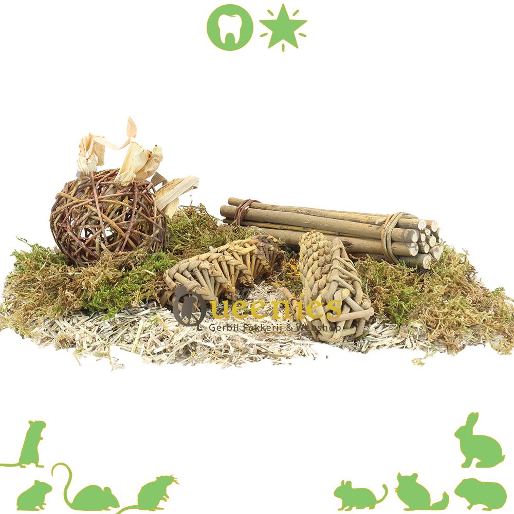 Wilgenpakket 4 stuks