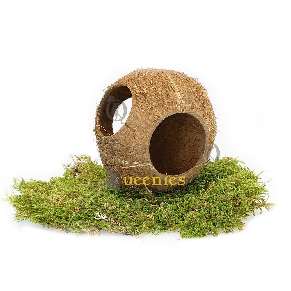 Kokosnoot met 3 gaten voor uitdaging en speelplezier