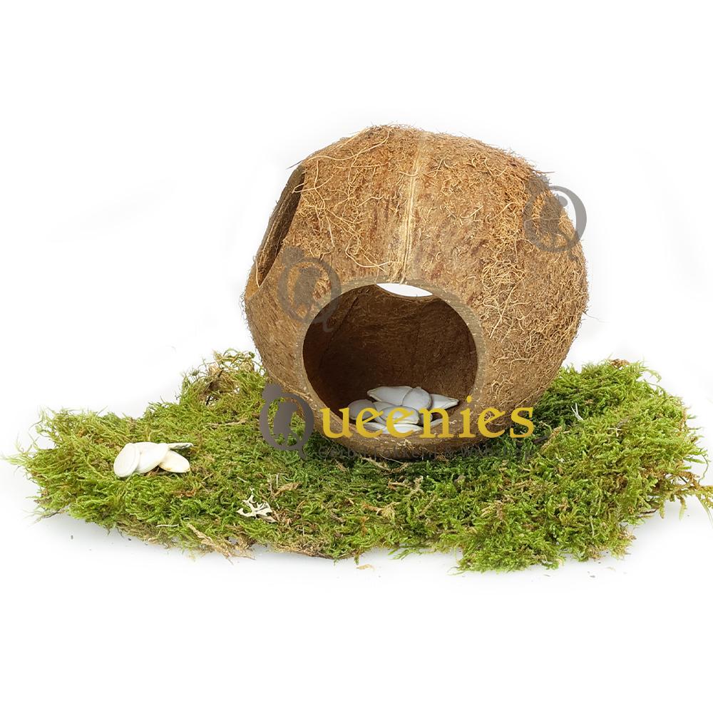 Kokosnoten voor Hamsterscaping