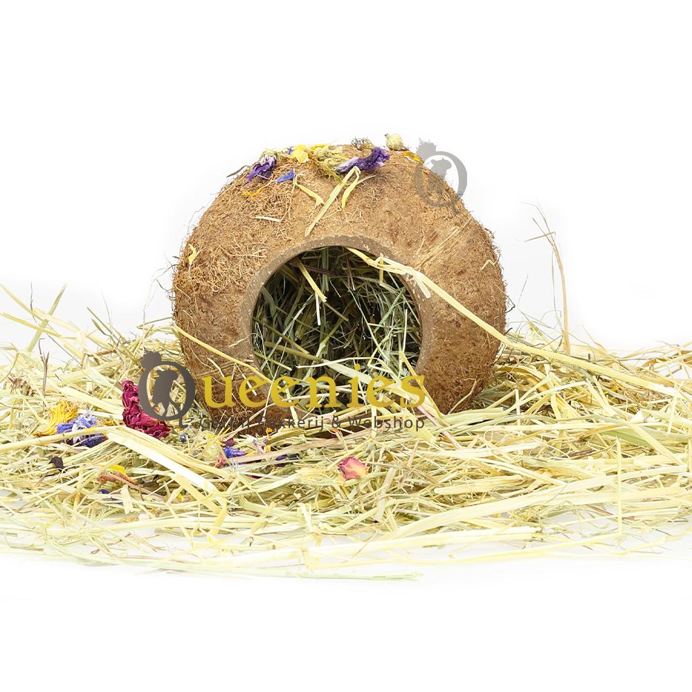 Kokosnoot als hooiruif gebruiken