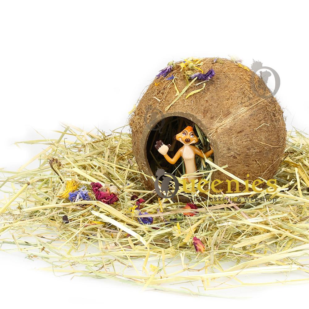 3 gaten kokosnoot voor muizen