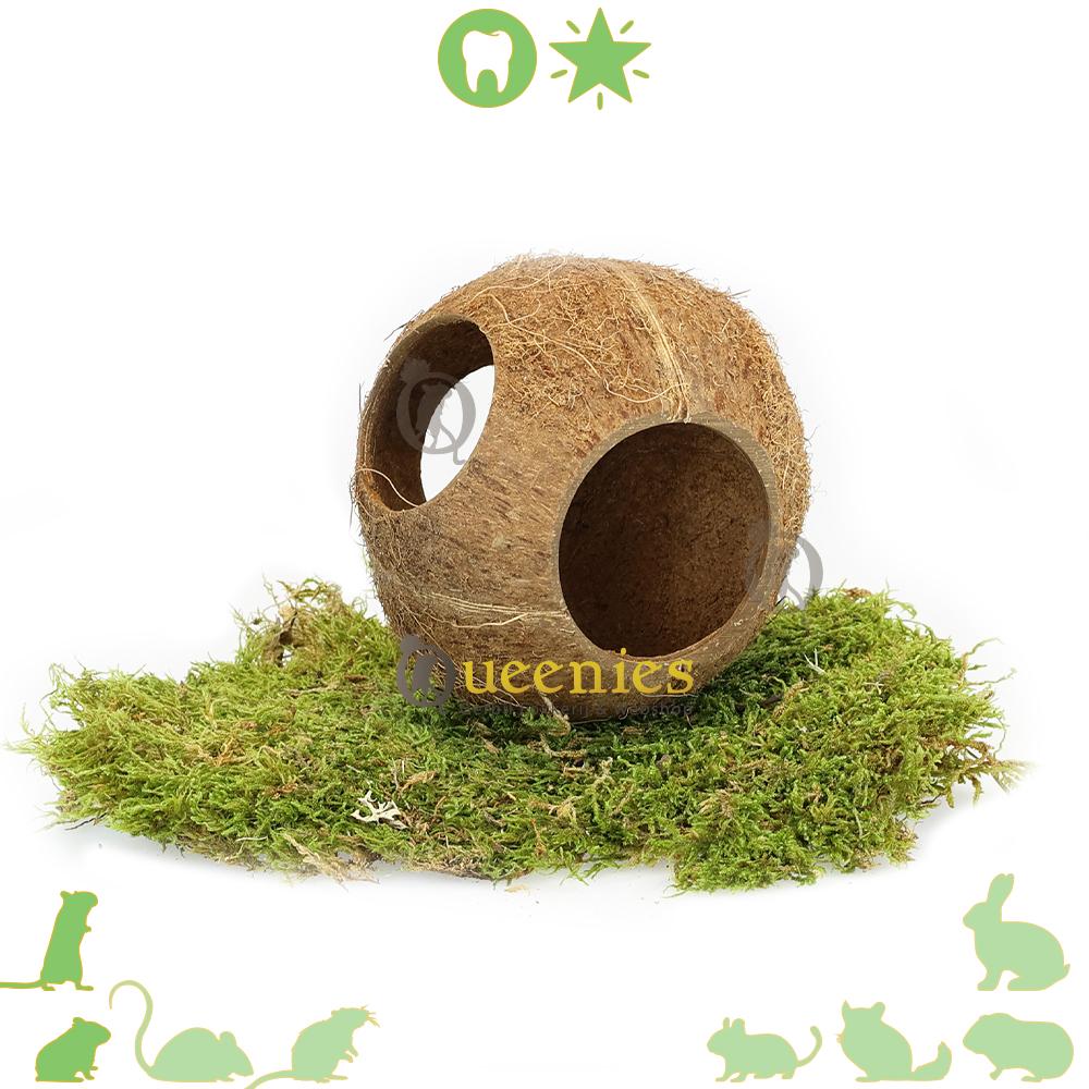 3 gaten kokosnoot - Kokosnoten huisje voor Knaagdieren