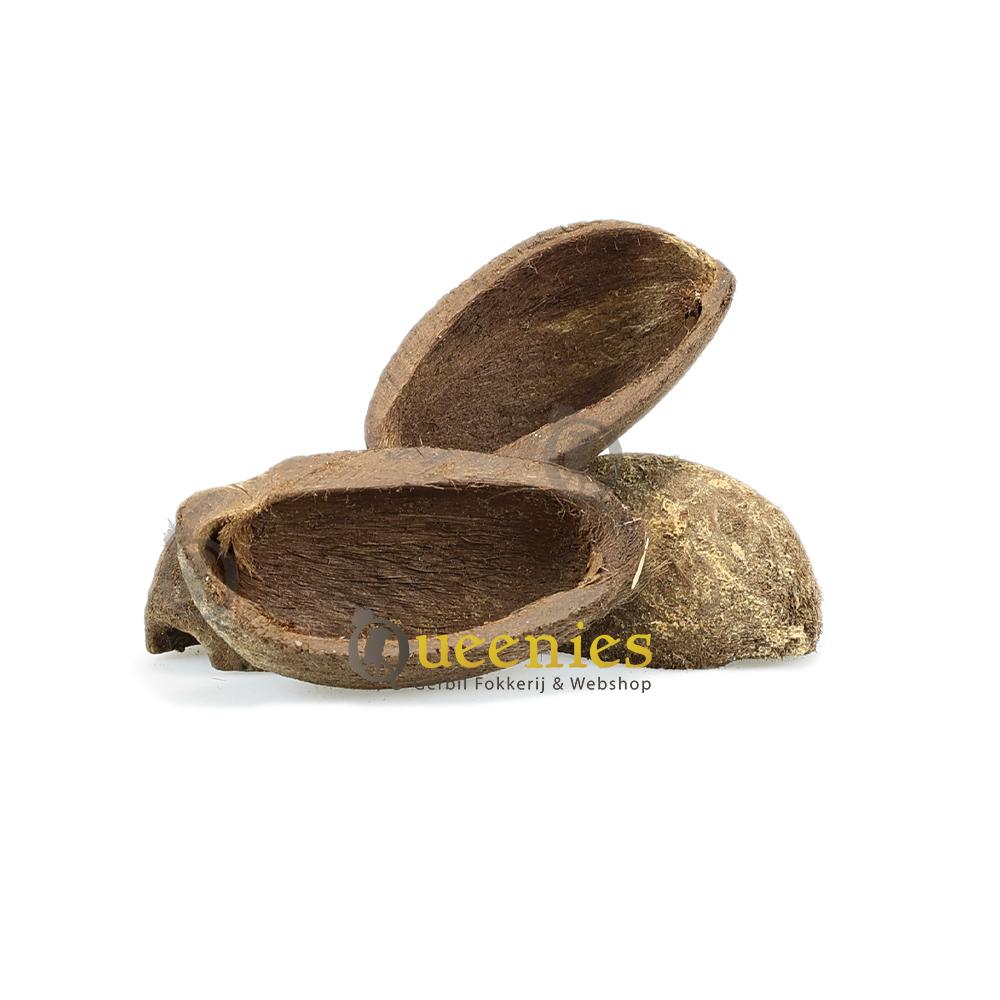 Decoratie artikelen met kokosnoten