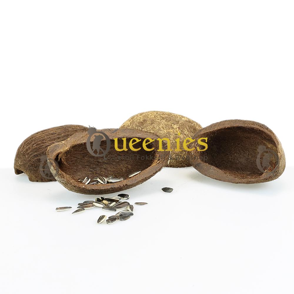 Kokosnoten voor Knaagdieren en parkieen