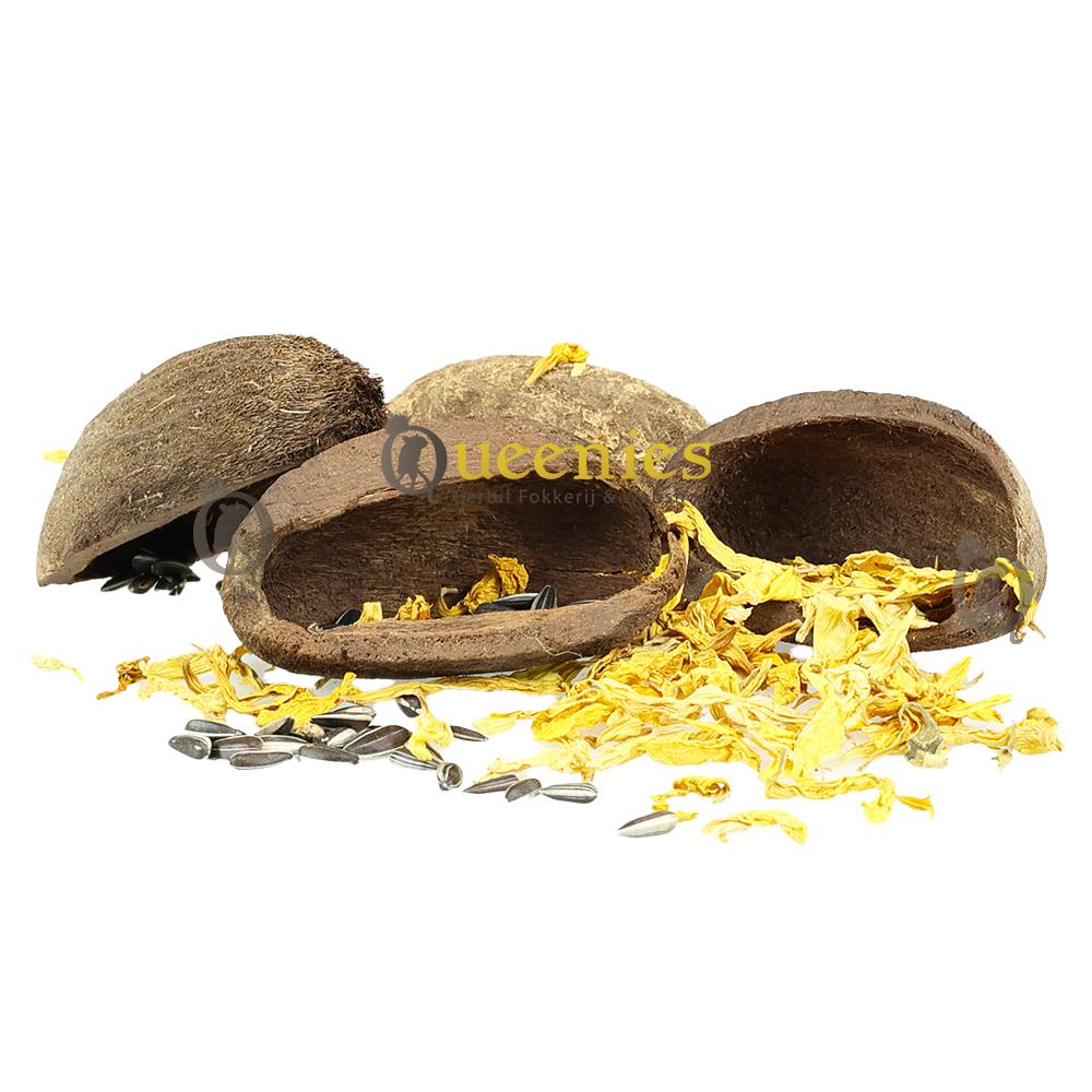 Parkieten kokosnoten decoratie