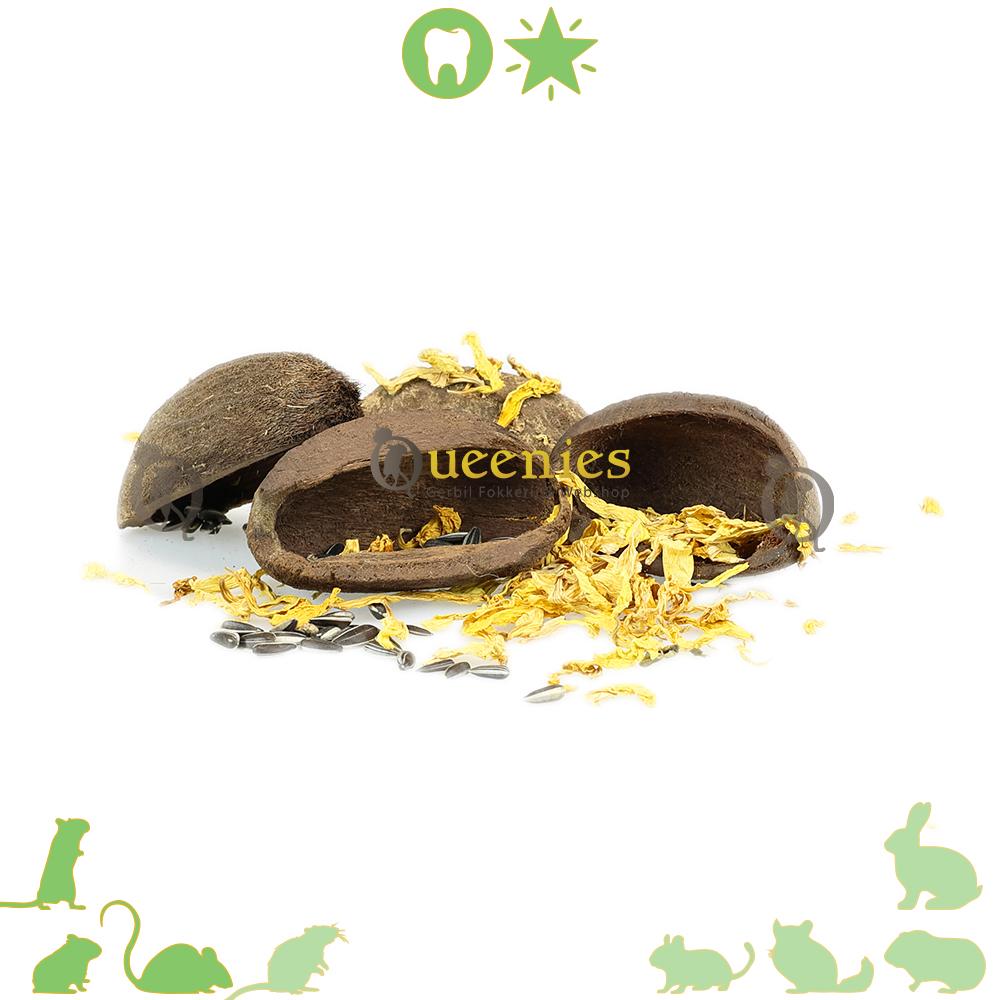 Kokosnoten bakjes voor Knaagdieren