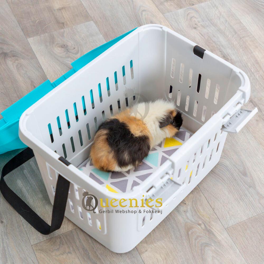 Vervoersbox Mini Capri Cavia in transportmand