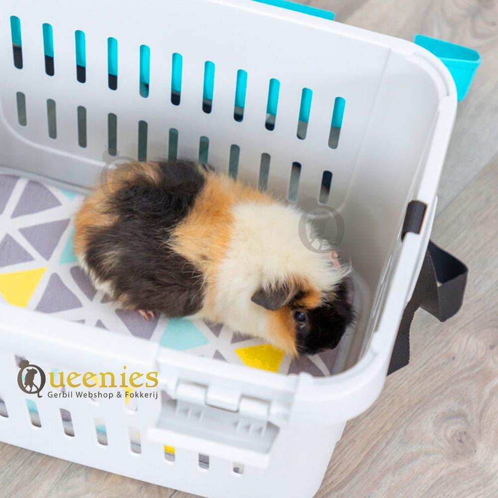 Cavia inVervoersbox Mini Capri
