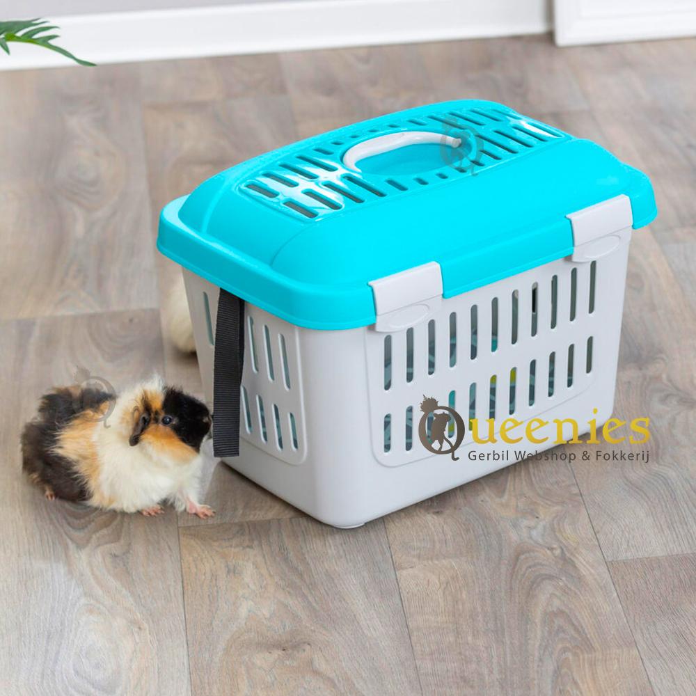 Vervoersbox Mini Capri met Cavia
