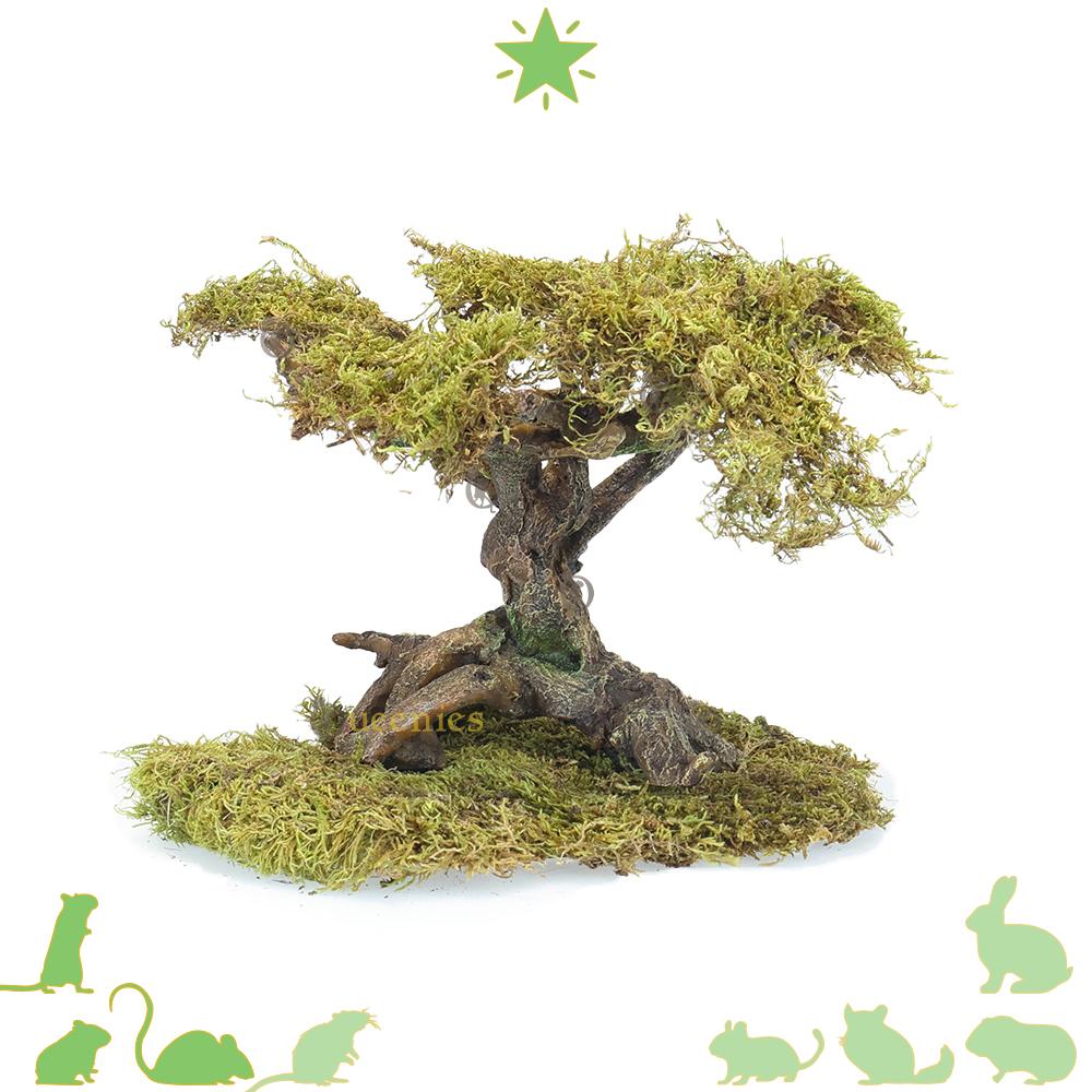 Bonsai Boom met gedroogd mos