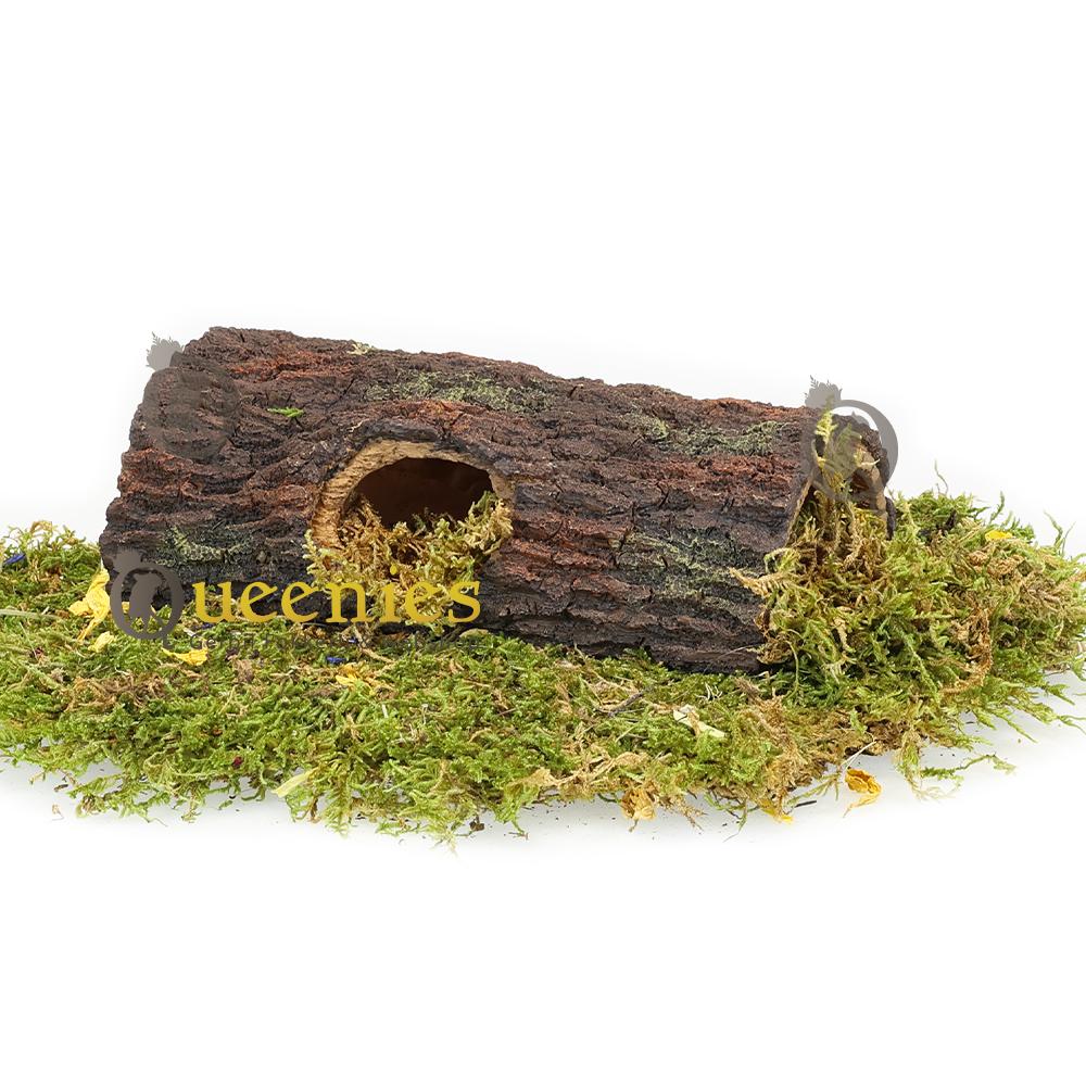 Knaagdieren grot Oakly Cave voor Syrische Hamsters