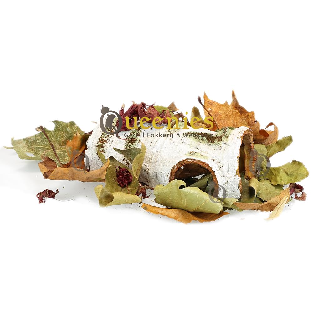 Halve Berkentunnel van Kunsthars voor Gerbils