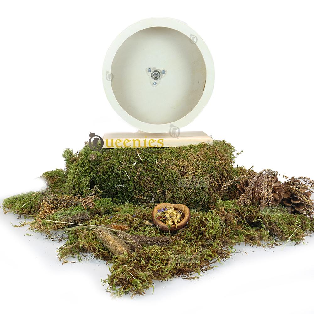 Loopmolen voor in Hamsterscape bij Dwerghamsters