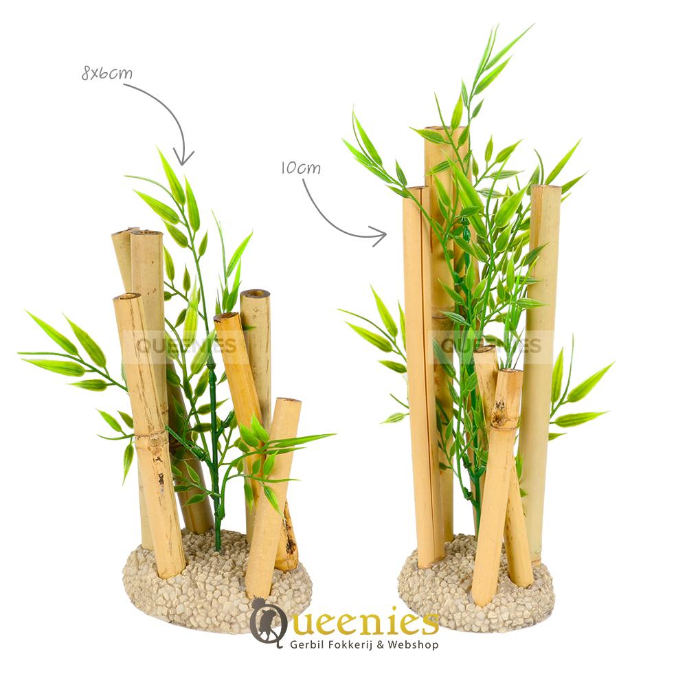 Oase van rust in Hamster Terrarium met Bamboe